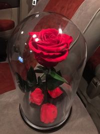 Роза в Колбе Deja Vu Rose на 8 марта, День рождения. Подарок маме.