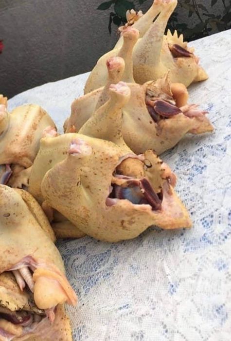 Pasari pui/gaini/cocosi