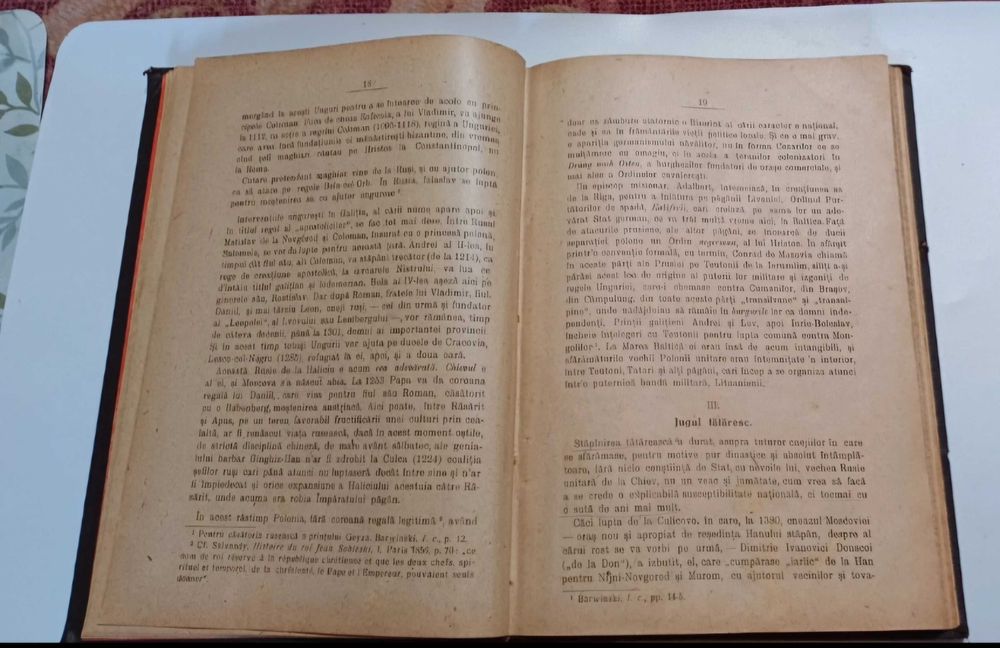N. Iorga - Rusia și Polonia din 1919