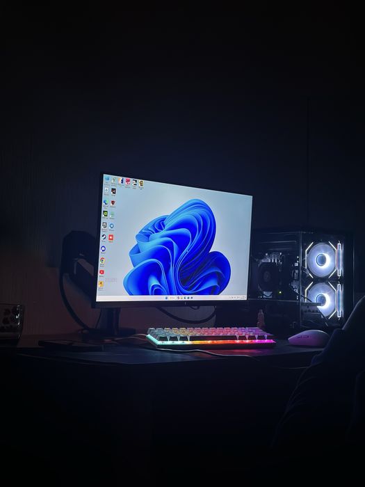 Monitor Premier 24 duym 100 Hz