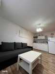 Apartament Ultracentral Piata Muzeului.