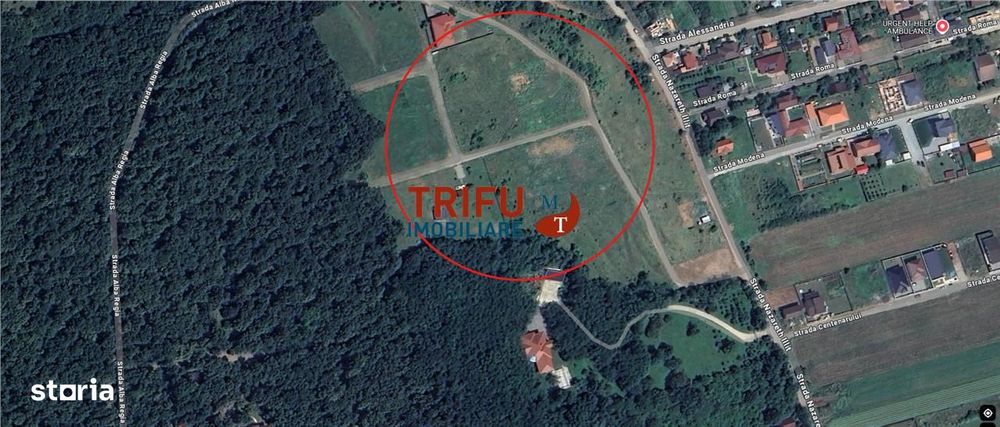 Teren 528 mp de vanzare Alba Micesti spre padure