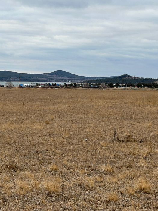 участок 42 соток