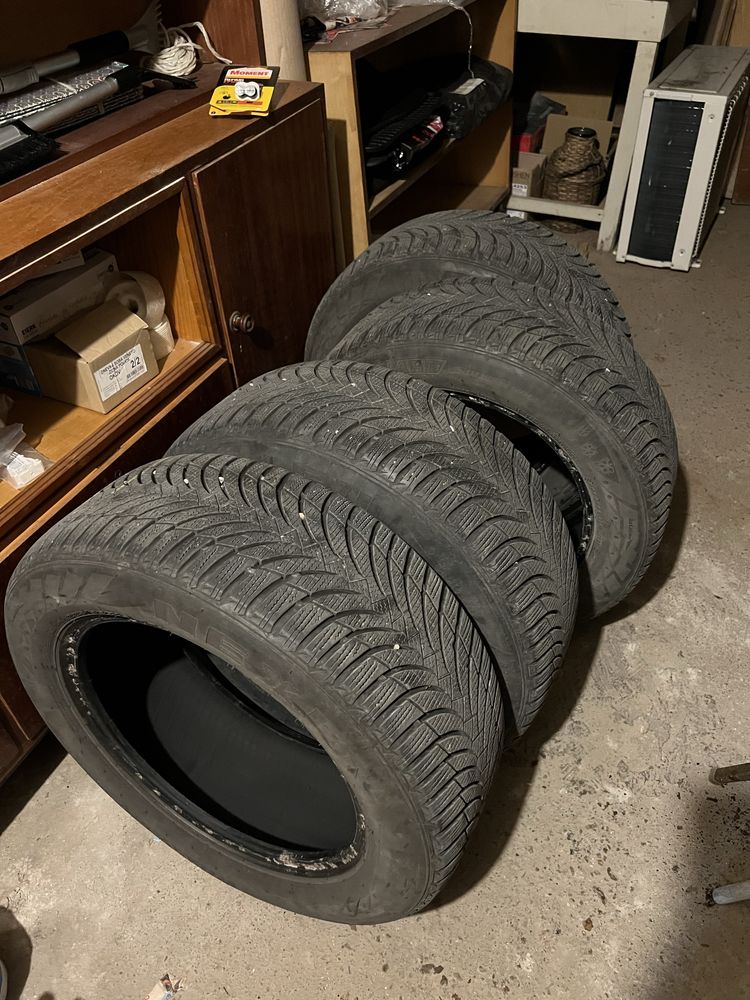 Nexen Winguard Snow G2 225/55/16