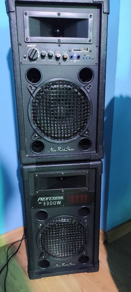 Vând boxe NRS profesional speaker sistem DS-2008U