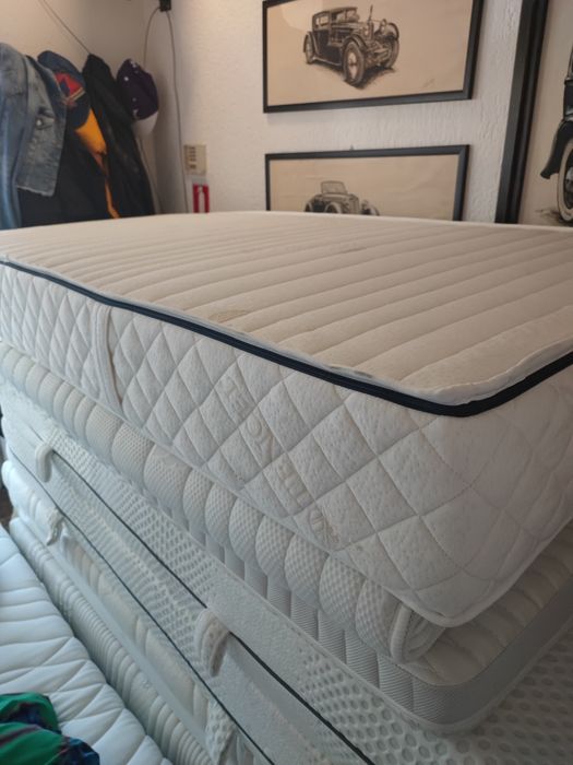 Saltele lux Germania