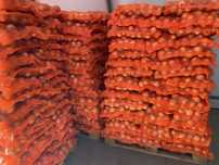 Ceapa sac 10 kg Romania