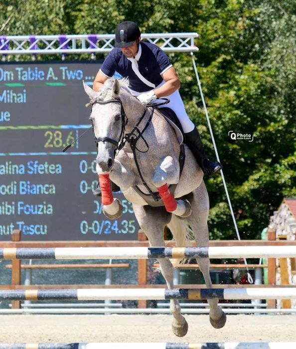 Cal de proba completă, de vanzare