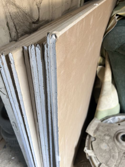 Гипсакортон настенный