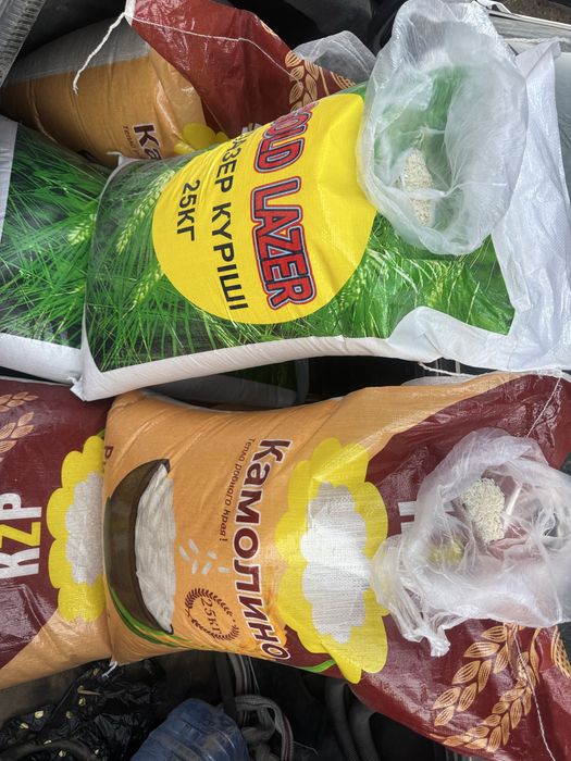 Рис лазер, камолино, индонезия