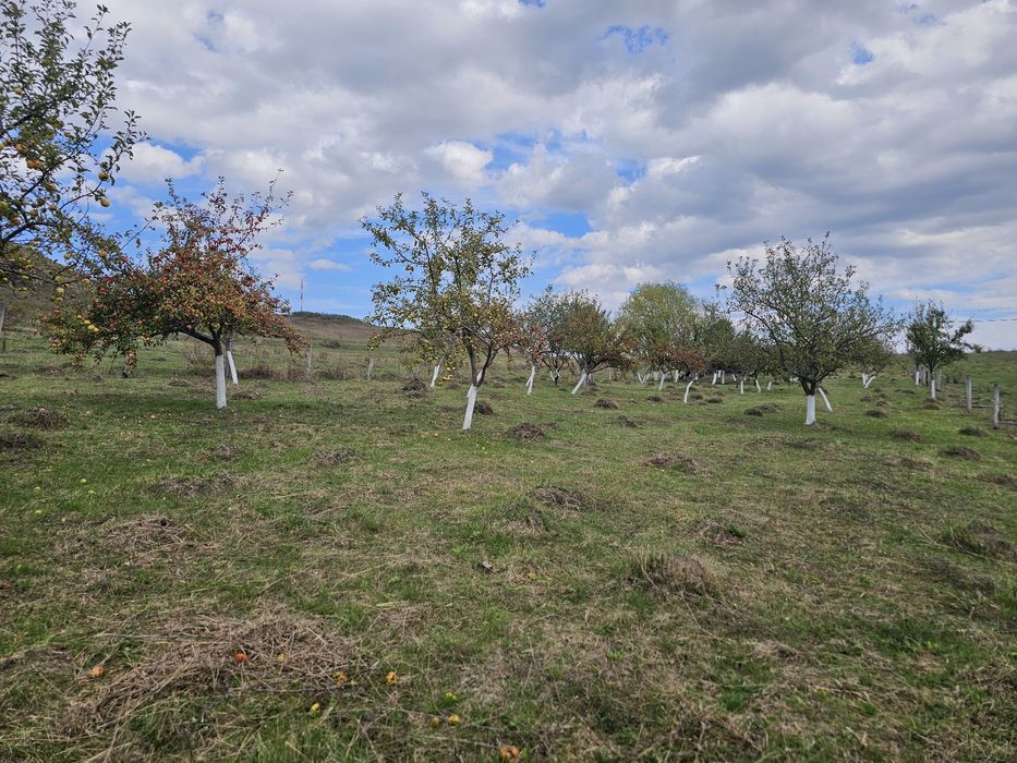 Teren de vânzare langa Cluj ,Mănăstireni