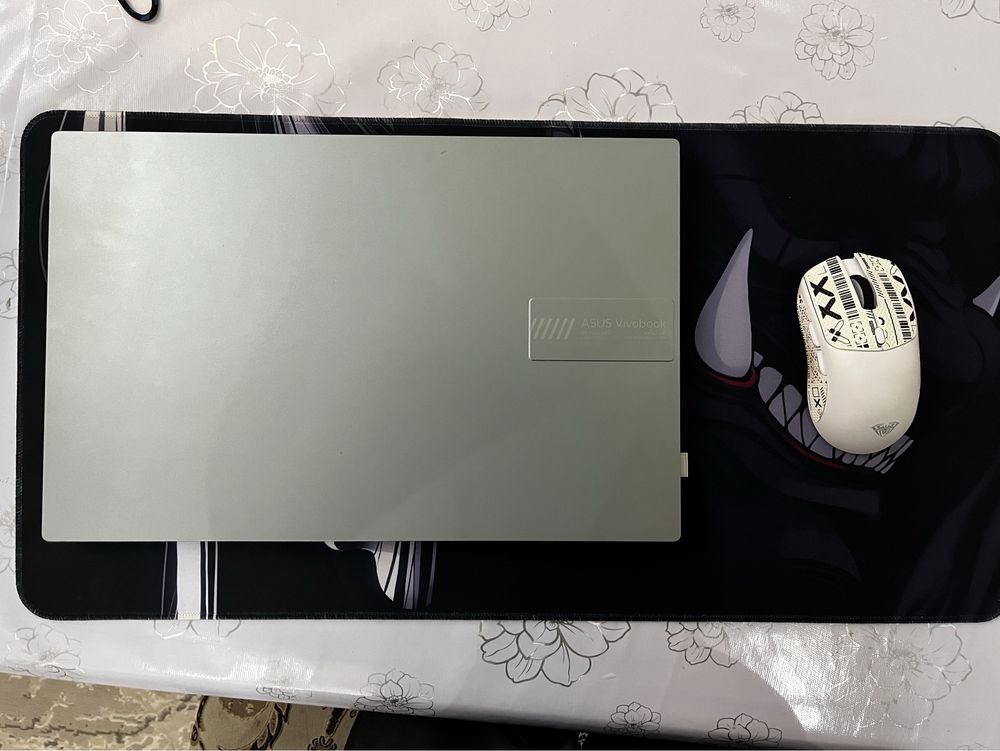 Asus vivobook Go 14/15