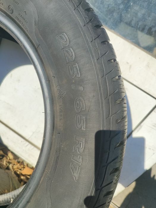 Гуми SAVA Eskimo SUV2