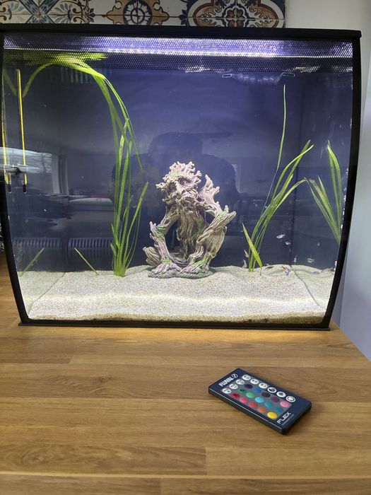 Аквариум 60 литра HAGEN