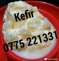 Kefir, Chefir de Lapte, Ciuperca Tibetana, Hrana Vie