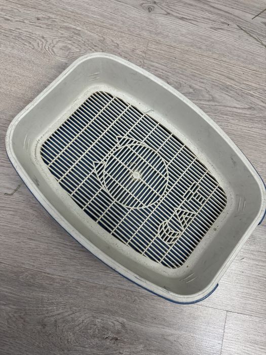 Лоток для кошки бесплатно