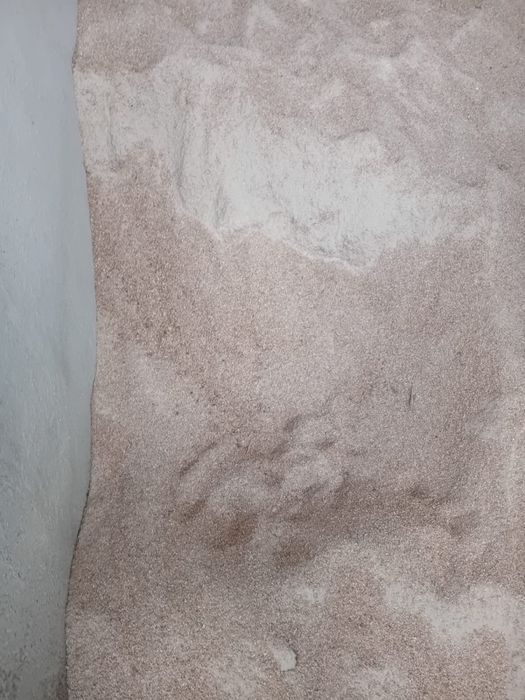 Vand uroaie din floare si grau si porumb