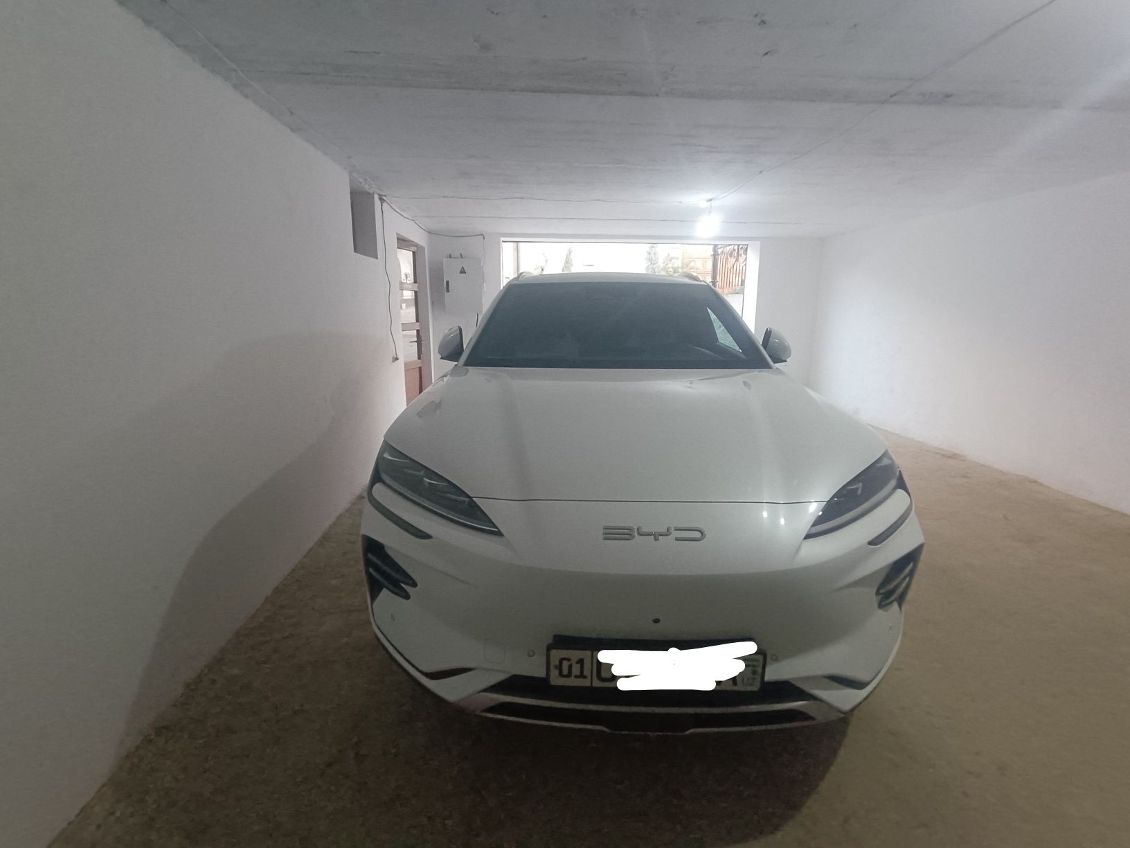 BYD chimpion 605 oq 2023/2024