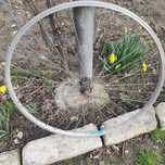 Roti  bicicletā MTB fata .spate complete 26/ 28/ 1.95