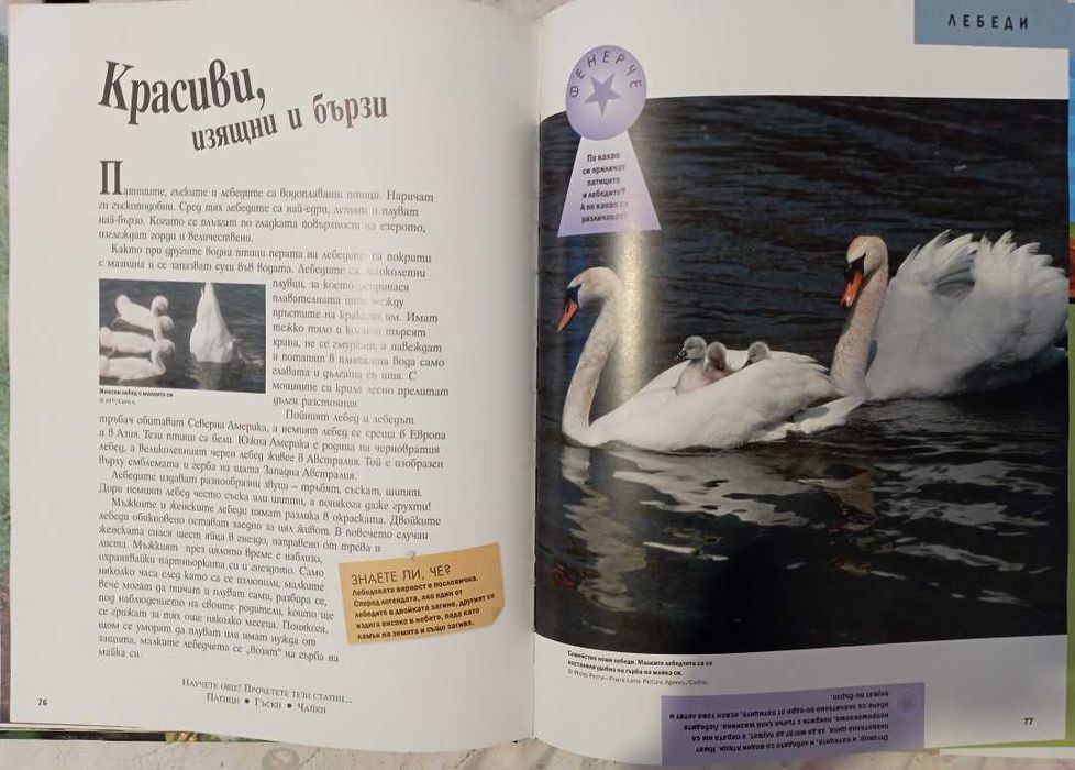 Детски книжки и енциклопедии