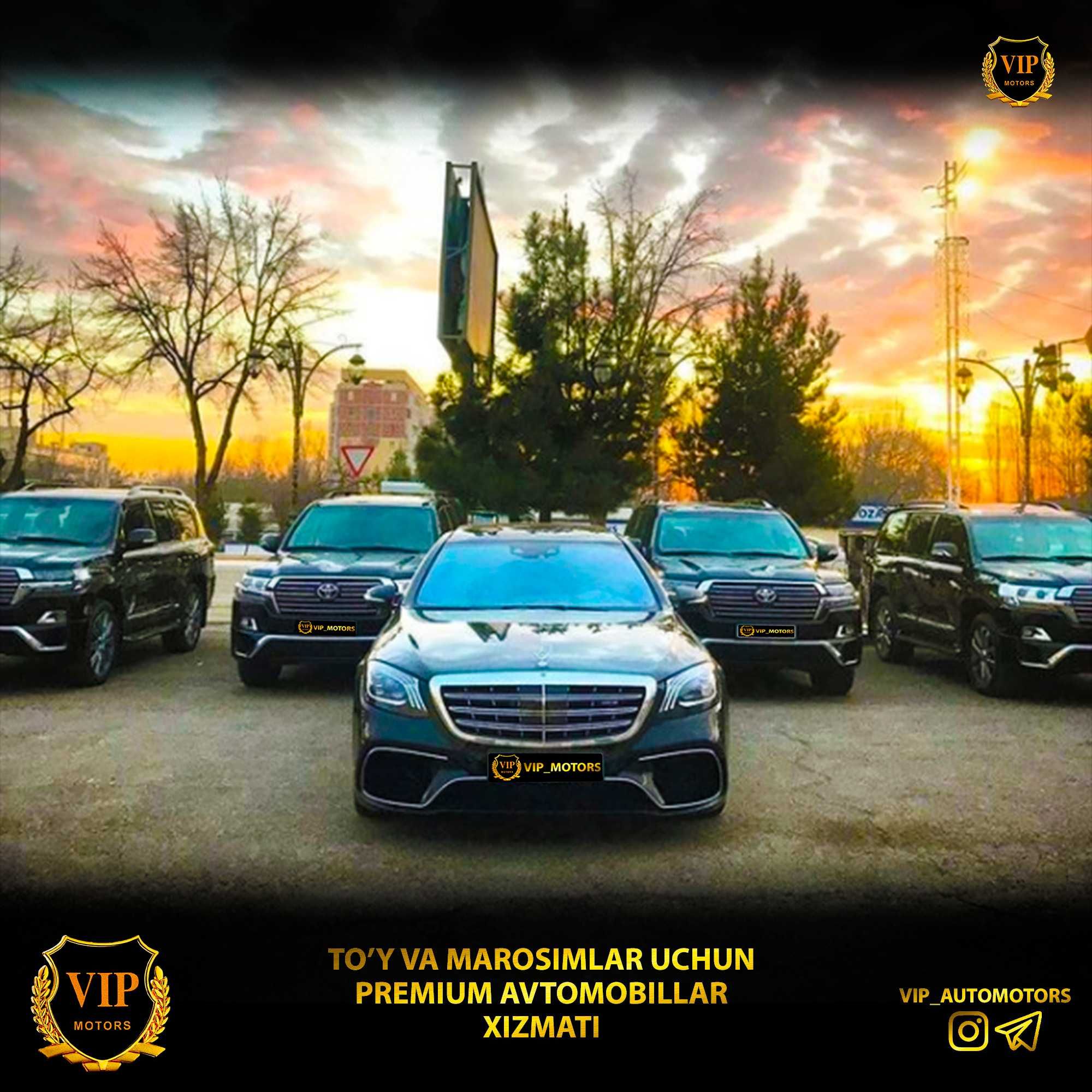 Kartej mercedes s class 222, 223. V class Vito,Viano toy,raddom,turizm