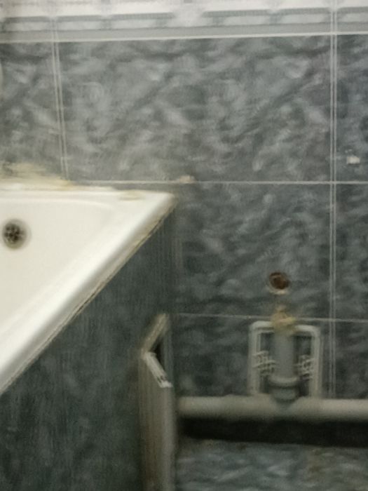 3 honalik kvartra ijaraga beriladi