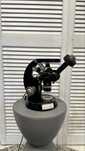 Rar microscop inversat Carl Zeiss vintage cu obiective vechi