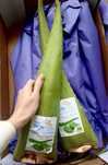 Aloe Vera comestibilă