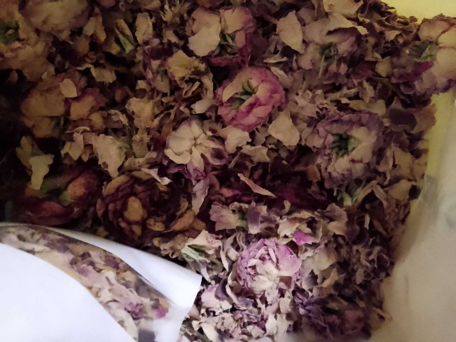 Trandafir DAMASC uscat petale