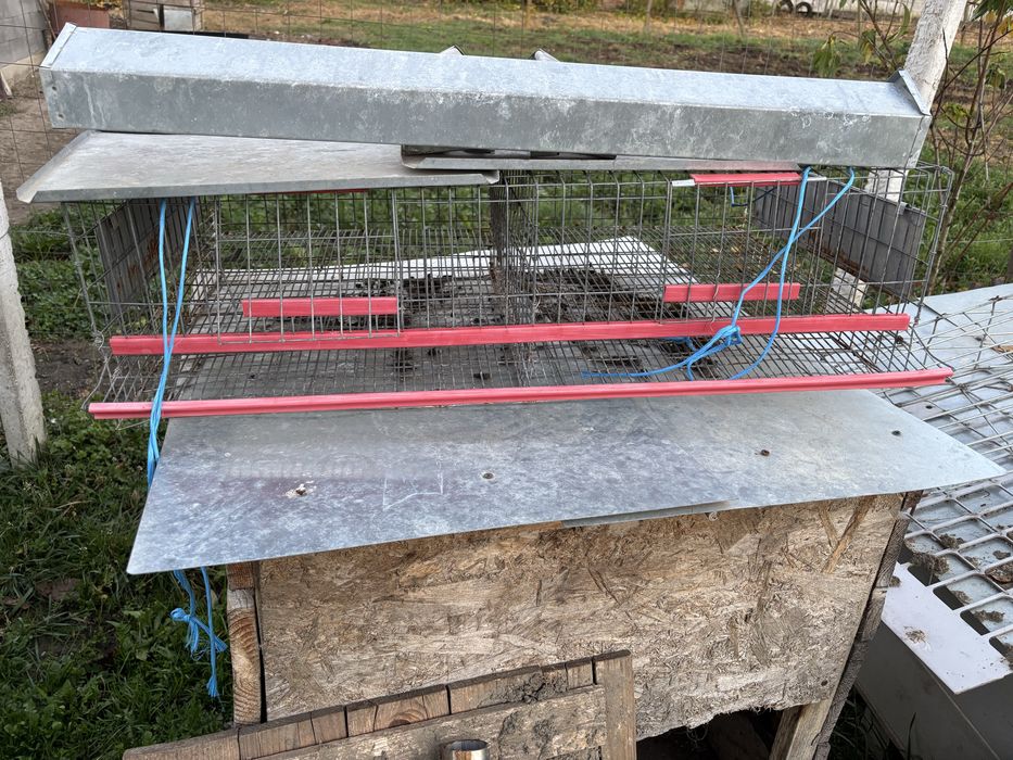 Custi de iepuri si prepelite