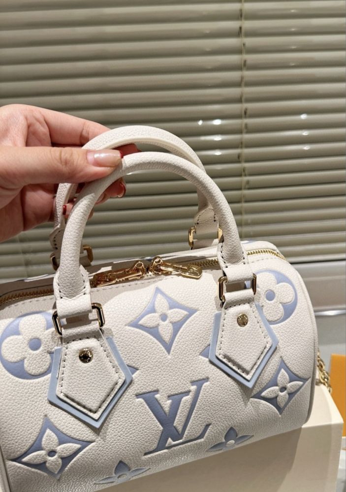 Louis Vuitton speedy