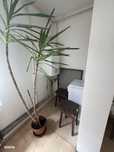 Apartament 2 camere etajul 1 Micalaca