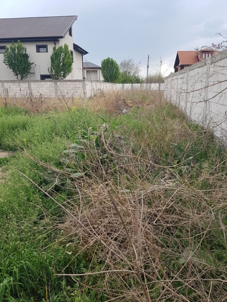 Vind teren în satul costi