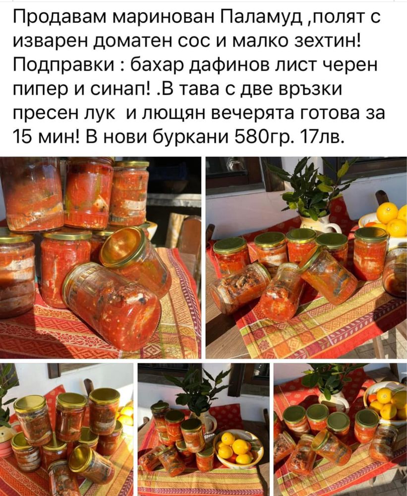 Продавам Паламуд 20лв и сафрид 12лв