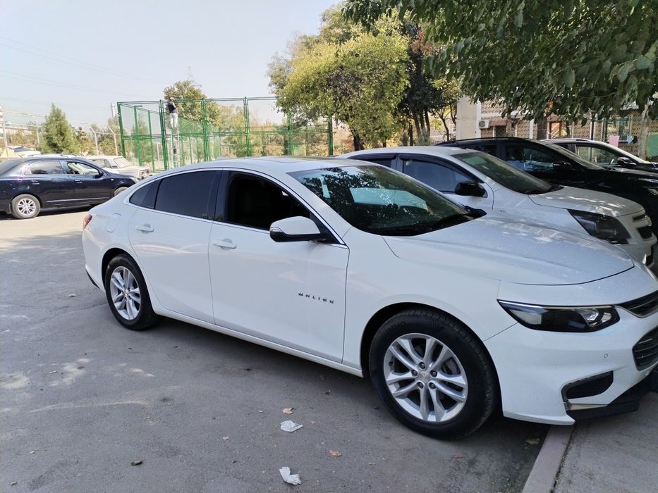 Malibu 2 atmasferni 2018 yil luk bor