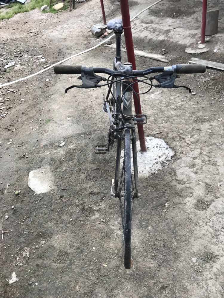 Bicicleta semicursiera Lombardo Ventimiglia 2200