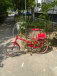 Vand bicicleta pentru dame