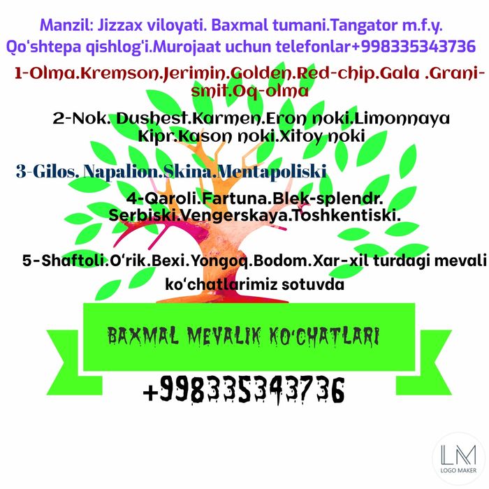 Baxmal olma koʻchatlari sotuvda mevali koʻchatlar