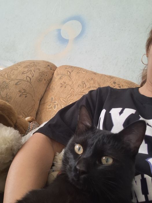 Отдам в хорошие руки Котик 1 год