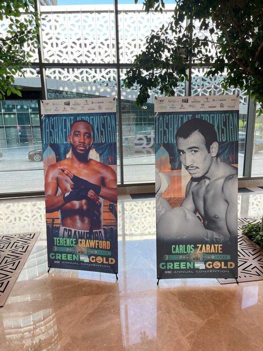 Roll up. Рул ап. Рекламный штендр. Паучок. X-Banner.