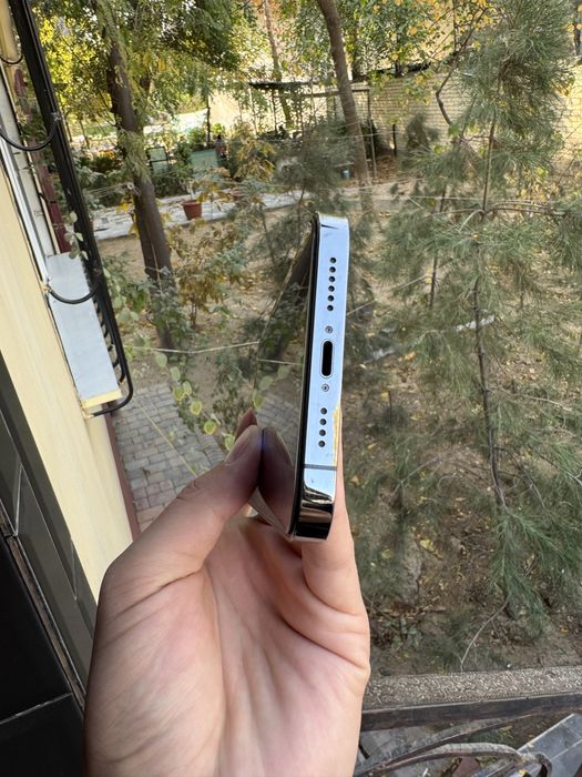 iphone 13 Pro Max 256 Gb