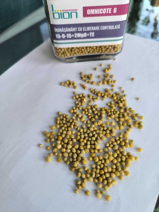 Ingrasaminte cu eliberare controlata si ingrasaminte solubile