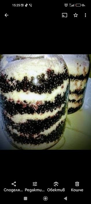 Сироп от Черен БЪЗ /бъзак/ реколта 2025г