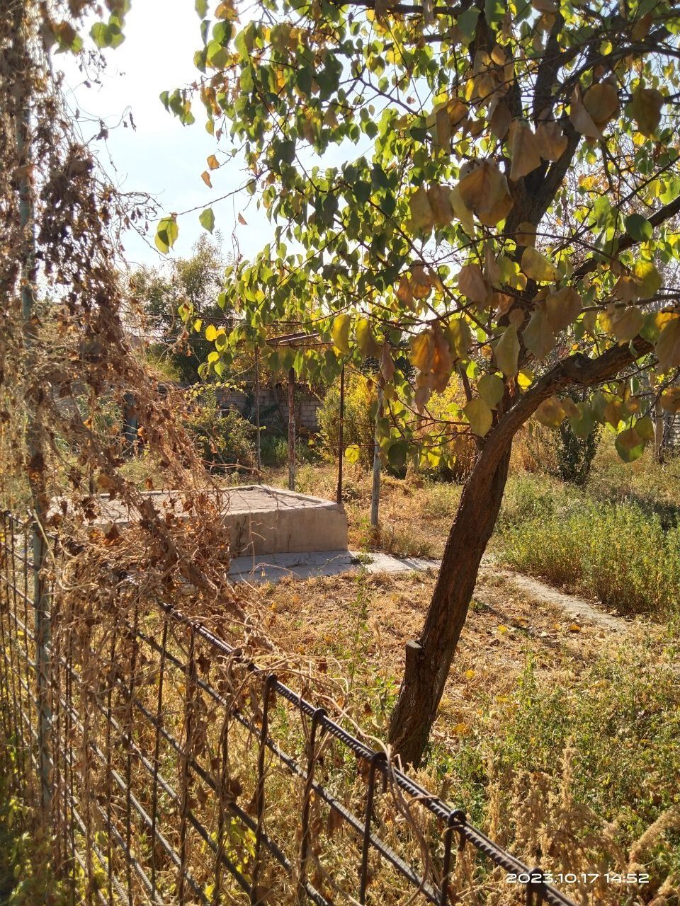 Dalahovli sotiladi
