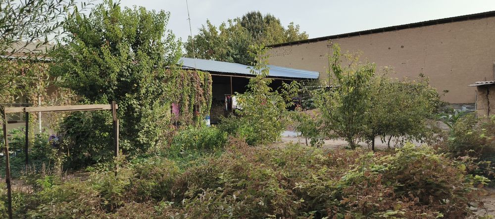 Uchastka sotiladi srochno