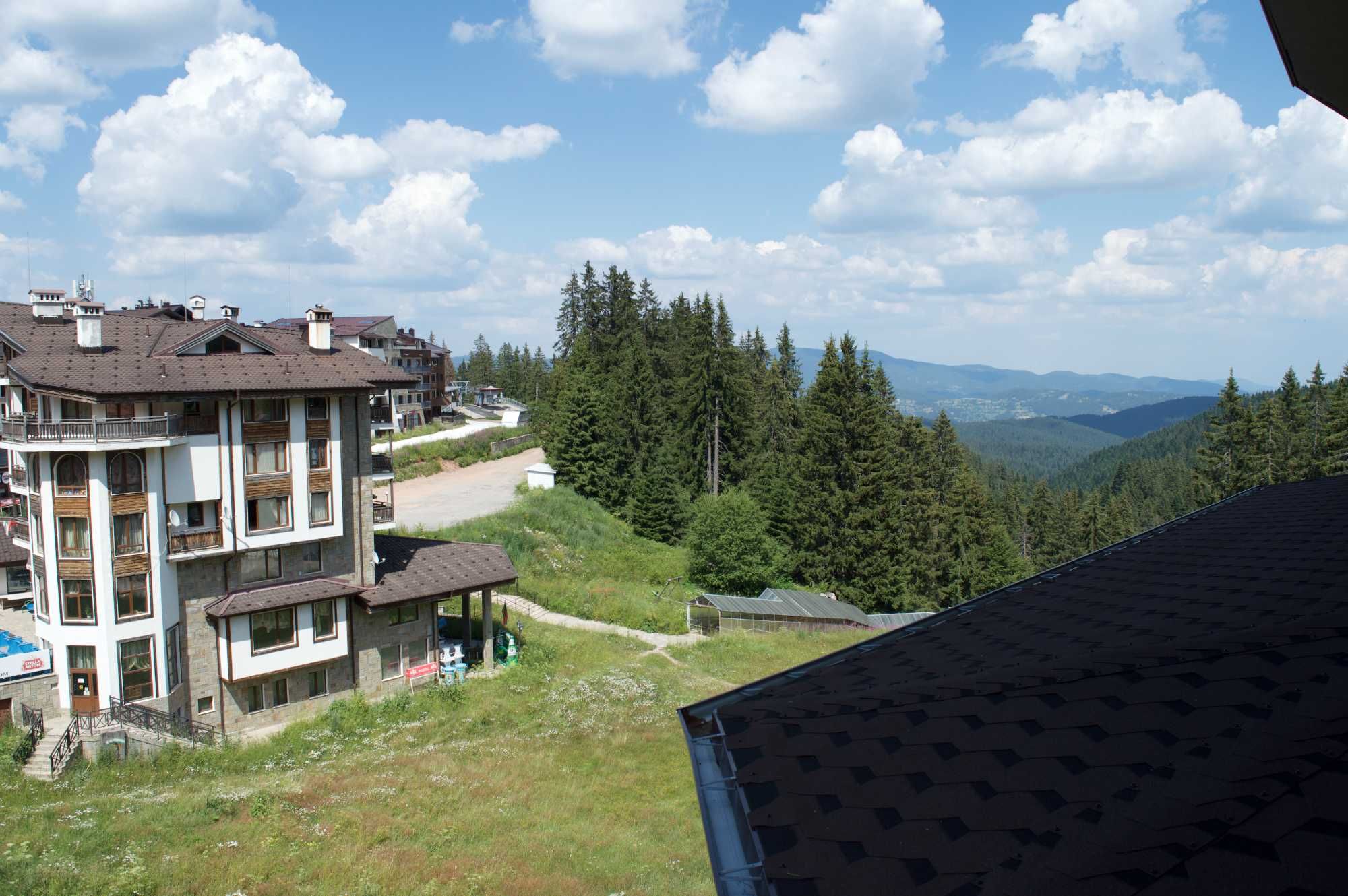 Sokolovi apartment, The bear Pamporovo