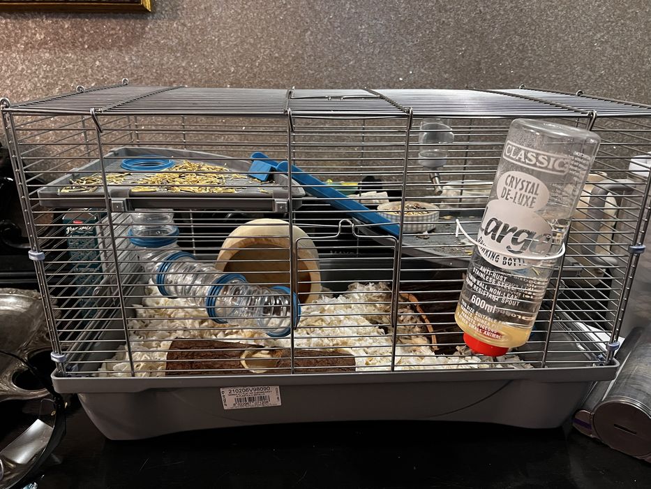 Hamster si cusca