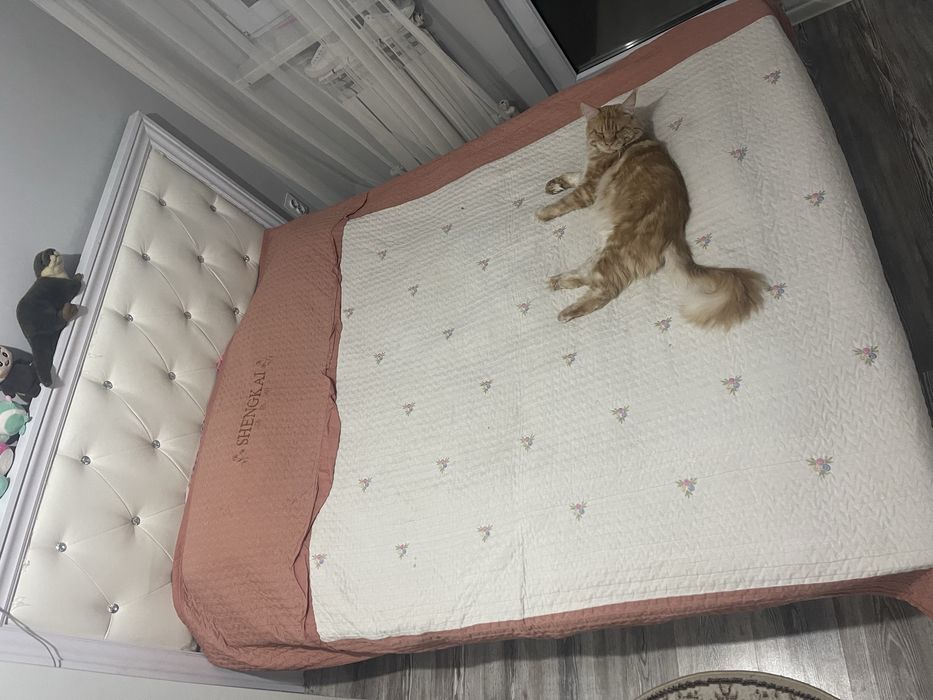 Кровать (двуспальная)