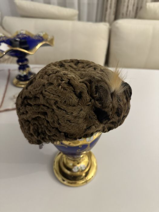 Продаю каракулевые шапки мужкю и женскую