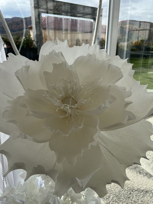 Inchiriez decor foto corner evenimente